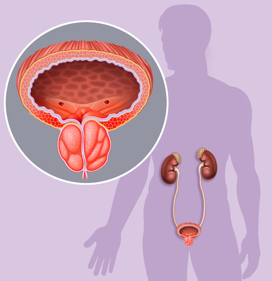 Biancat™ Inhaleur Prostate au Venin d'Abeille | Retrouvez une érection en 3 minutes!